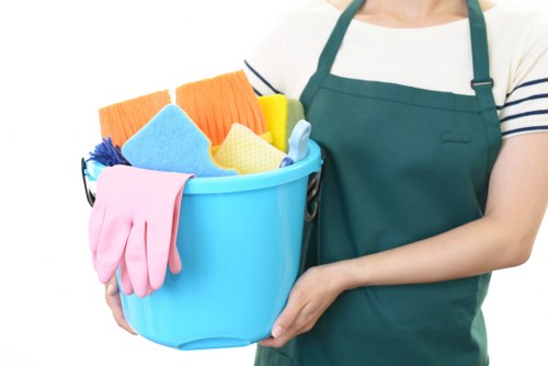 Secure carpet cleaning payment illustration with online checkout protection