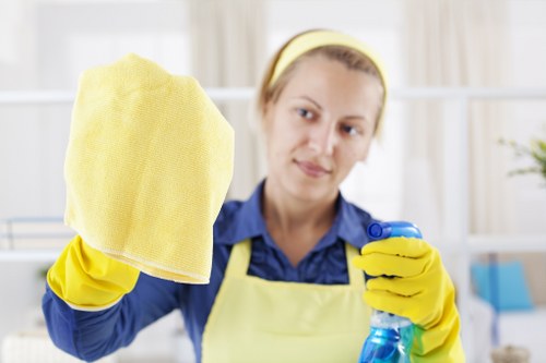 Regular cleaning service for a Wimbledon home living room