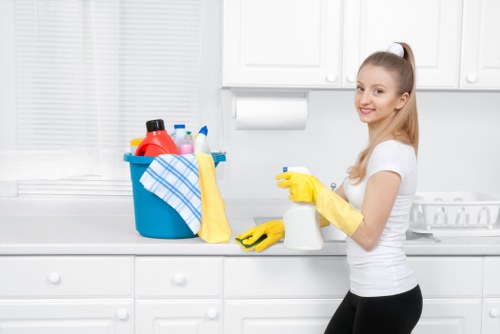 Local Wimbledon cleaning service treating pet odour in a family home