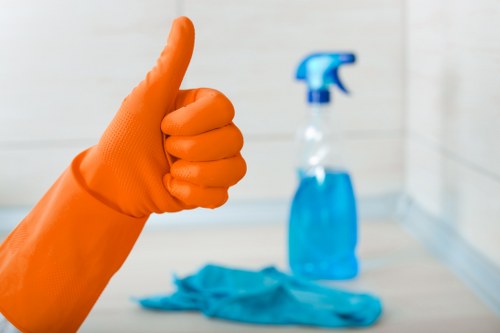 Pet stain odour treatment for homes and businesses in Wimbledon
