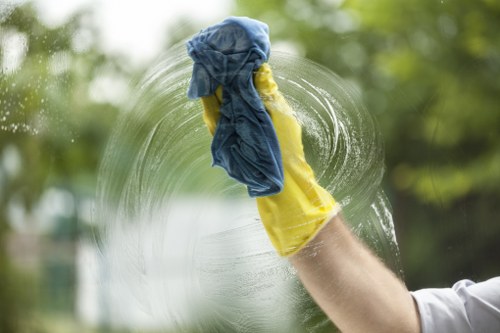Reviewing carpet cleaning issue details and records