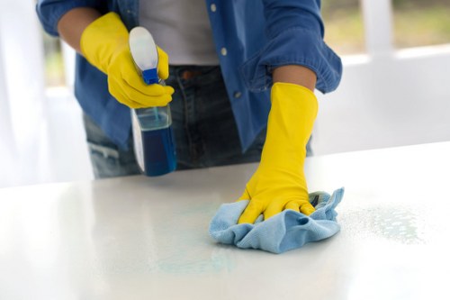 Specialist removal of pet stains from a carpet in Wimbledon